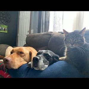 Meet your Posher, Ashlee